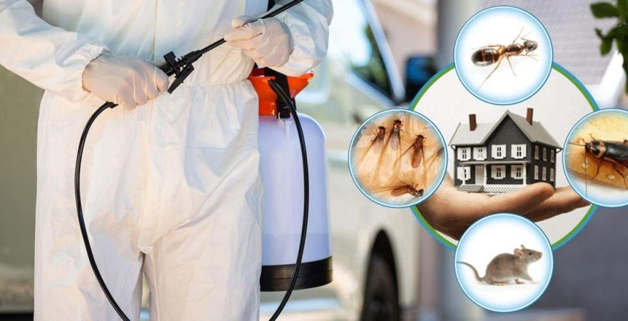 Tepebaşı Böcek İlaçlama