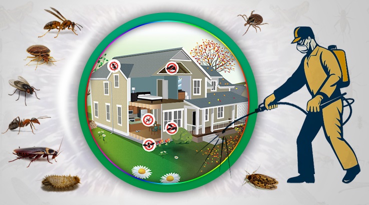 Tepebaşı Böcek İlaçlama