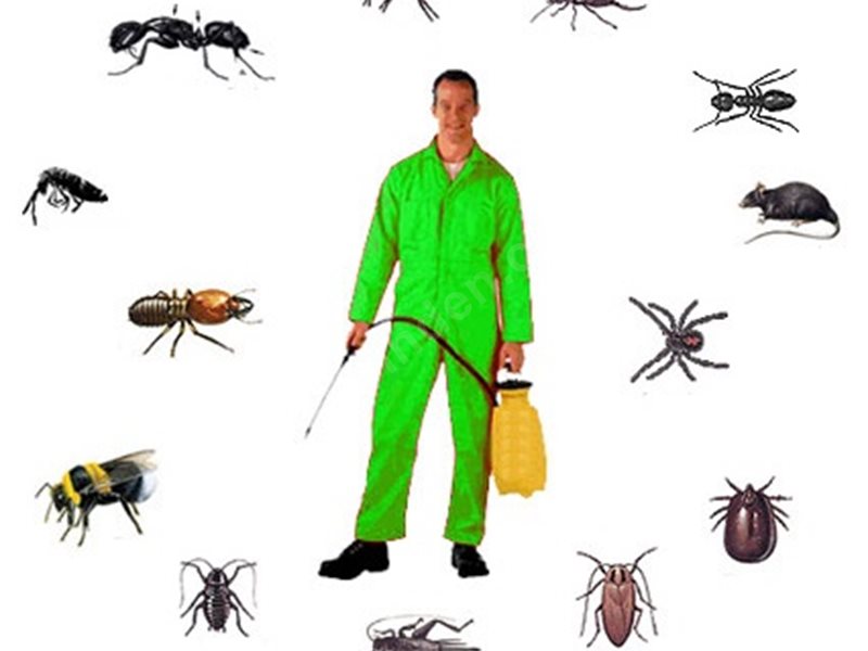 Tepebaşı Böcek İlaçlama