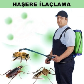Tepebaşı Böcek İlaçlama